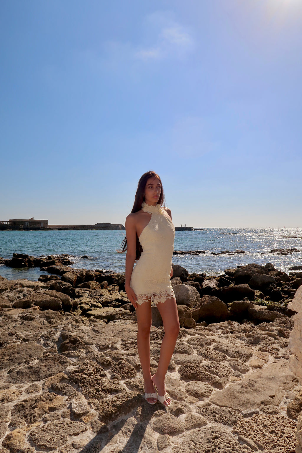 Fiori Mini Dress